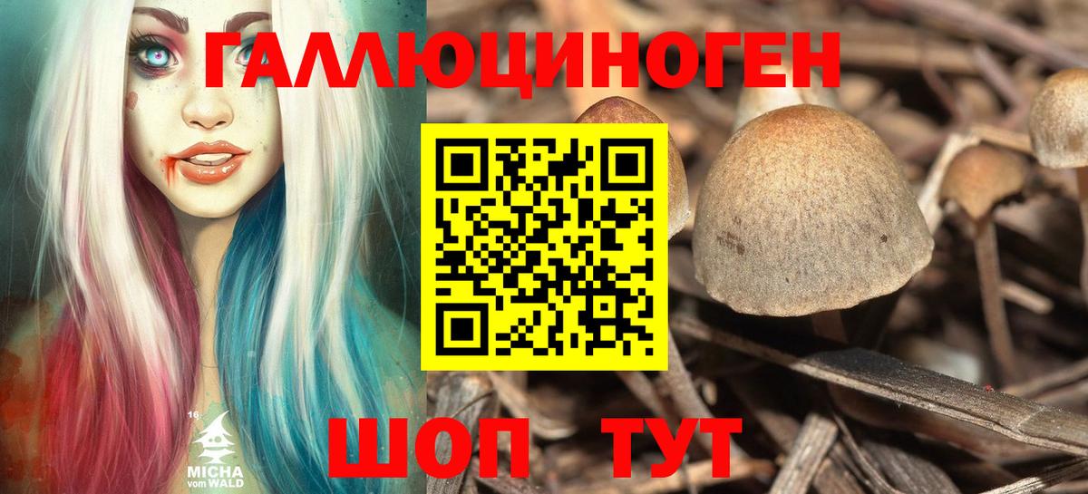 Псилоцибиновые грибы мицелий  Вход с VPN  Старая Купавна 